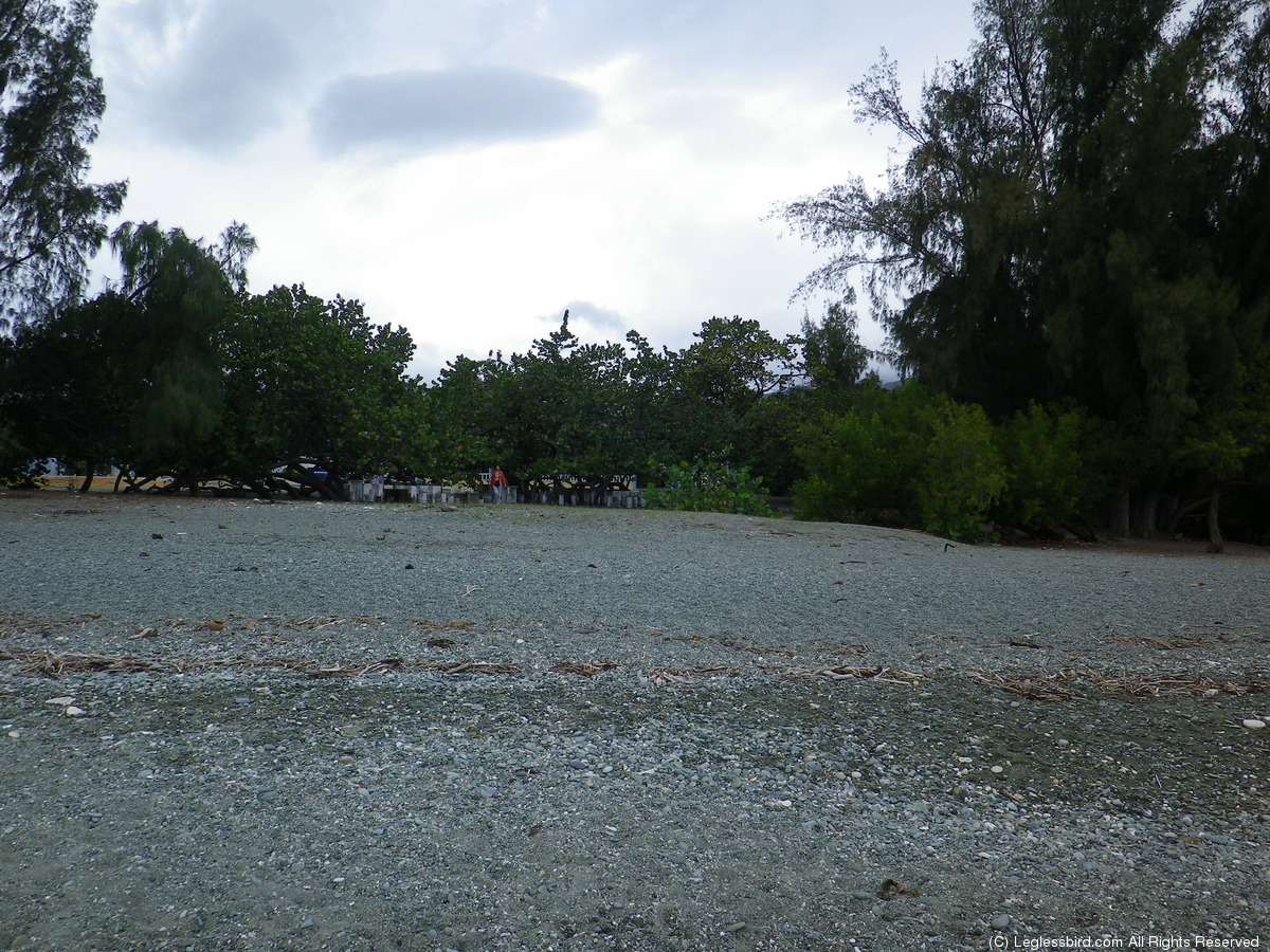 Beach - Altantic11.jpg